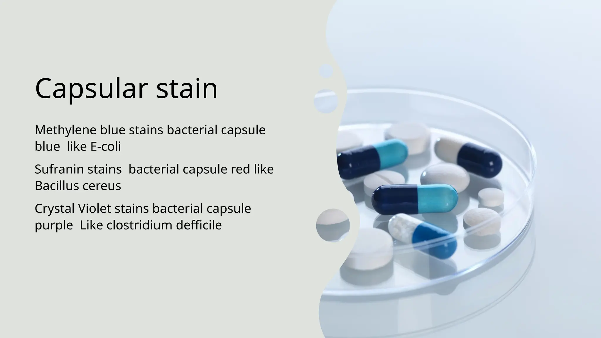 stains used in light microscopy (4).pptx