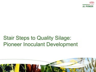 Stair Steps to Quality Silage:
Pioneer Inoculant Development
 