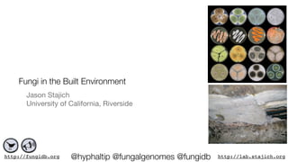 Fungi in the Built Environment
       Jason Stajich
       University of California, Riverside




http://fungidb.org   @hyphaltip @fungalgenomes @fungidb   http://lab.stajich.org
 
