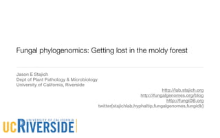 Fungal phylogenomics: Getting lost in the moldy forest


Jason E Stajich
Dept of Plant Pathology & Microbiology
University of California, Riverside
                                                                          http://lab.stajich.org
                                                               http://fungalgenomes.org/blog
                                                                            http://fungiDB.org
                                         twitter{stajichlab,hyphaltip,fungalgenomes,fungidb}
 