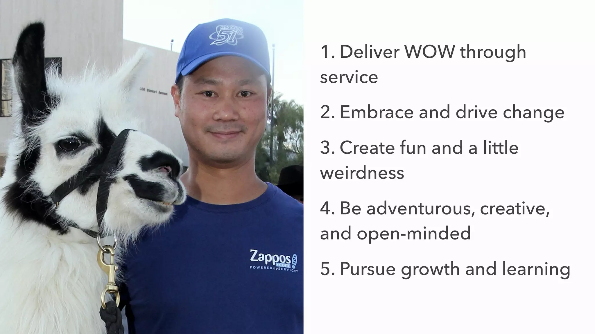 1. Deliver WOW through
service
2. Embrace and drive change
3. Create fun and a little
weirdness
4. Be adventurous, creative,
and open-minded
5. Pursue growth and learning
 