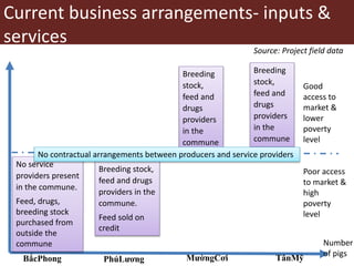Business approaches for sustainable access to markets and pigs information for producers and main target buyers