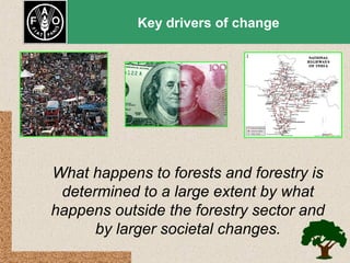 Key drivers of change

What happens to forests and forestry is
determined to a large extent by what
happens outside the forestry sector and
by larger societal changes.

 