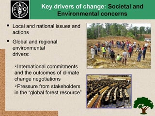 Key drivers of change: Societal and
Environmental concerns
 Local and national issues and
actions

 Global and regional
environmental
drivers:
International

commitments
and the outcomes of climate
change negotiations
Pressure from stakeholders
in the “global forest resource”

 