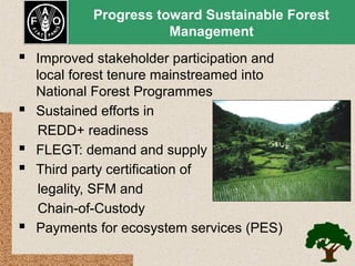 Progress toward Sustainable Forest
Management

 Improved stakeholder participation and






local forest tenure mainstreamed into
National Forest Programmes
Sustained efforts in
REDD+ readiness
FLEGT: demand and supply
Third party certification of
legality, SFM and
Chain-of-Custody
Payments for ecosystem services (PES)

 