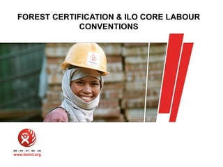 FOREST CERTIFICATION & ILO CORE LABOUR
CONVENTIONS

 