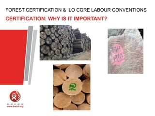 FOREST CERTIFICATION & ILO CORE LABOUR CONVENTIONS

CERTIFICATION: WHY IS IT IMPORTANT?

 