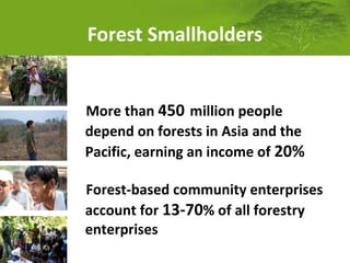 Forest Smallholders
More than 450 million people
depend on forests in Asia and the
Pacific, earning an income of 20%
Forest-based community enterprises
account for 13-70% of all forestry
enterprises

 