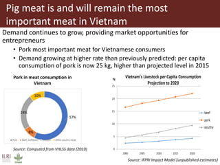 Demand for different pig breed types, what do we need to know?