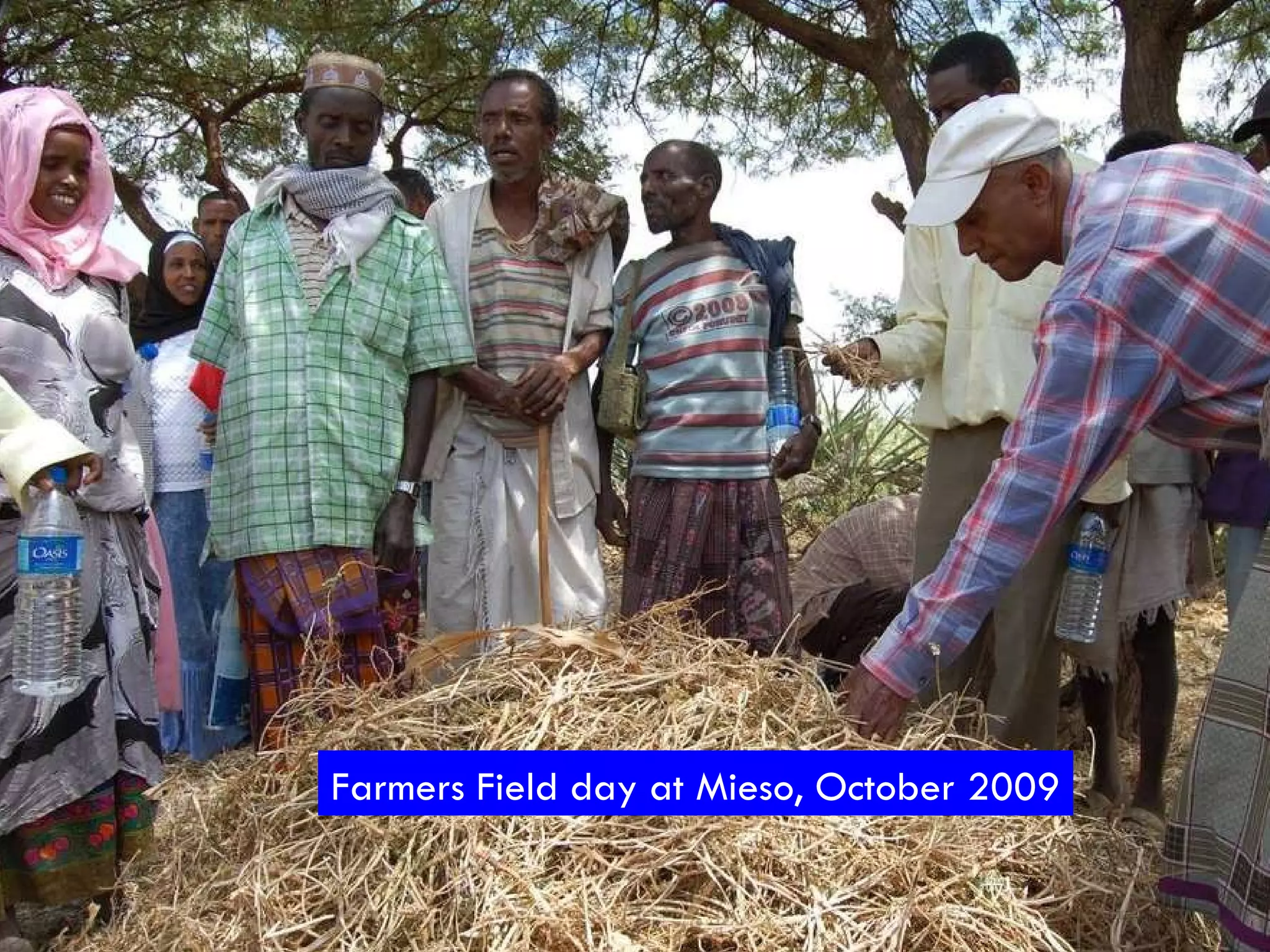 Farmers Field day at Mieso, October 2009 