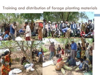 Multi-stakeholder platforms strengthening the selection and use of fodder options in Ethiopia: Some lessons