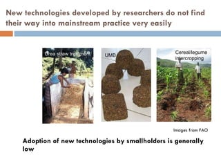 Multi-stakeholder platforms strengthening the selection and use of fodder options in Ethiopia: Some lessons