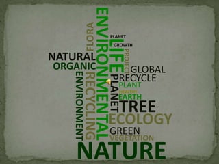 ENVIRONMENTAL
                 FLORA
                                PLANET




                            LIFEPLANET
                                    GROWTH




                                      PROJECT
NATURAL
ORGANIC                                GLOBAL
   ENVIRONMENT
           RECYCLING                 RECYCLE
                                     PLANT
                                     HEALTHY
                                     EARTH
                                     TREE
                               ECOLOGY
                                GREEN
                                VEGETATION

     NATURE
 