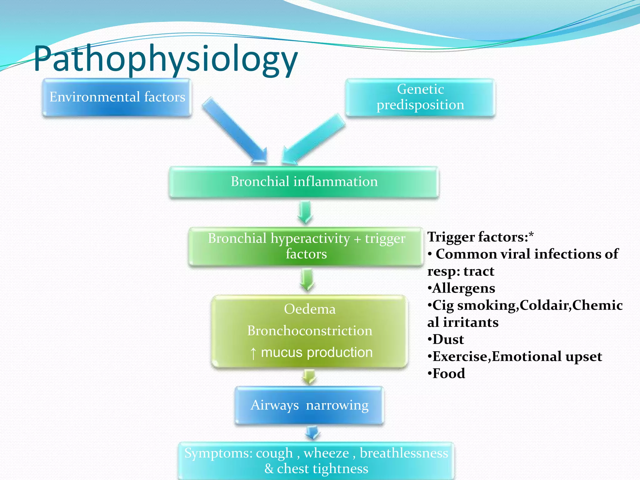 Pathophysiology
                                                       Genetic
Environmental factors
                                                    predisposition




                           Bronchial inflammation



                        Bronchial hyperactivity + trigger   Trigger factors:*
                                    factors                 • Common viral infections of
                                                            resp: tract
                                                            •Allergens
                                    Oedema                  •Cig smoking,Coldair,Chemic
                                                            al irritants
                              Bronchoconstriction
                                                            •Dust
                               ↑ mucus production           •Exercise,Emotional upset
                                                            •Food

                               Airways narrowing


                    Symptoms: cough , wheeze , breathlessness
                               & chest tightness
 