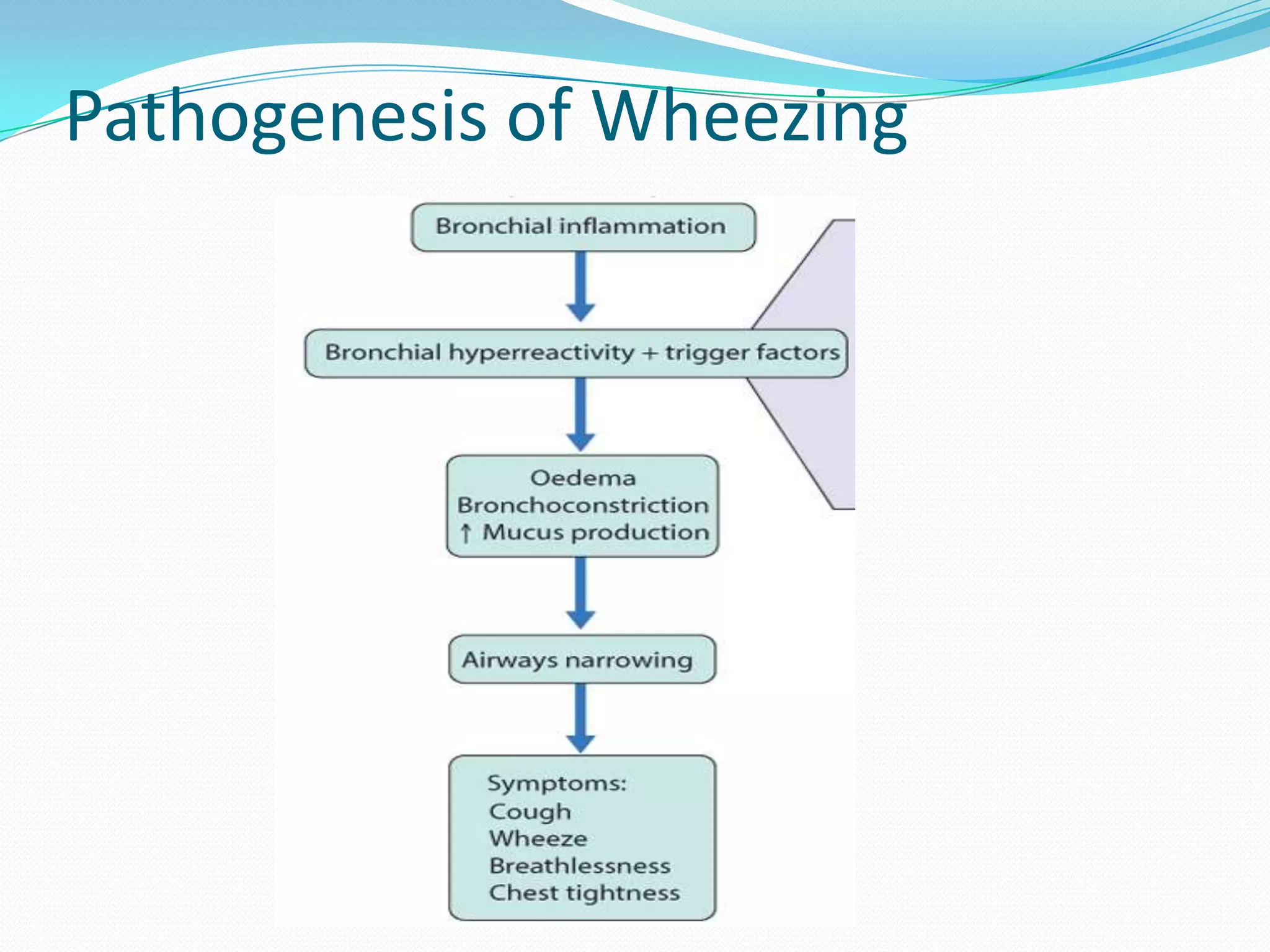 Pathogenesis of Wheezing
 