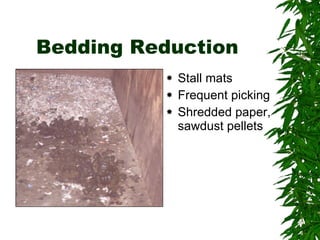 Bedding Reduction Stall mats Frequent picking Shredded paper,  sawdust pellets 