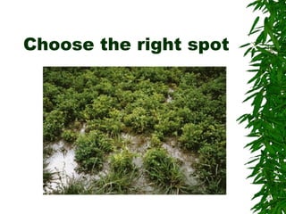 Choose the right spot 