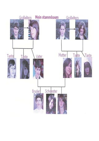 Stammbaum 4 Rot