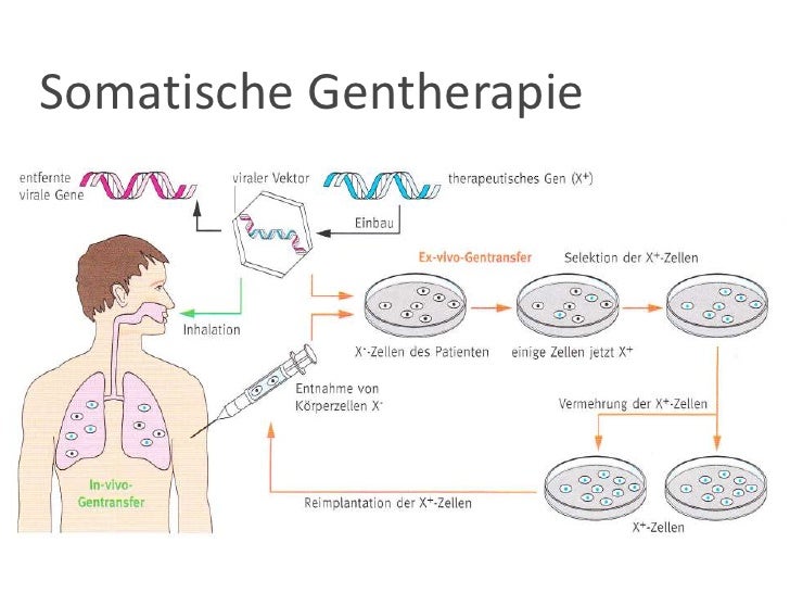 Können Stammzellen Leben retten?