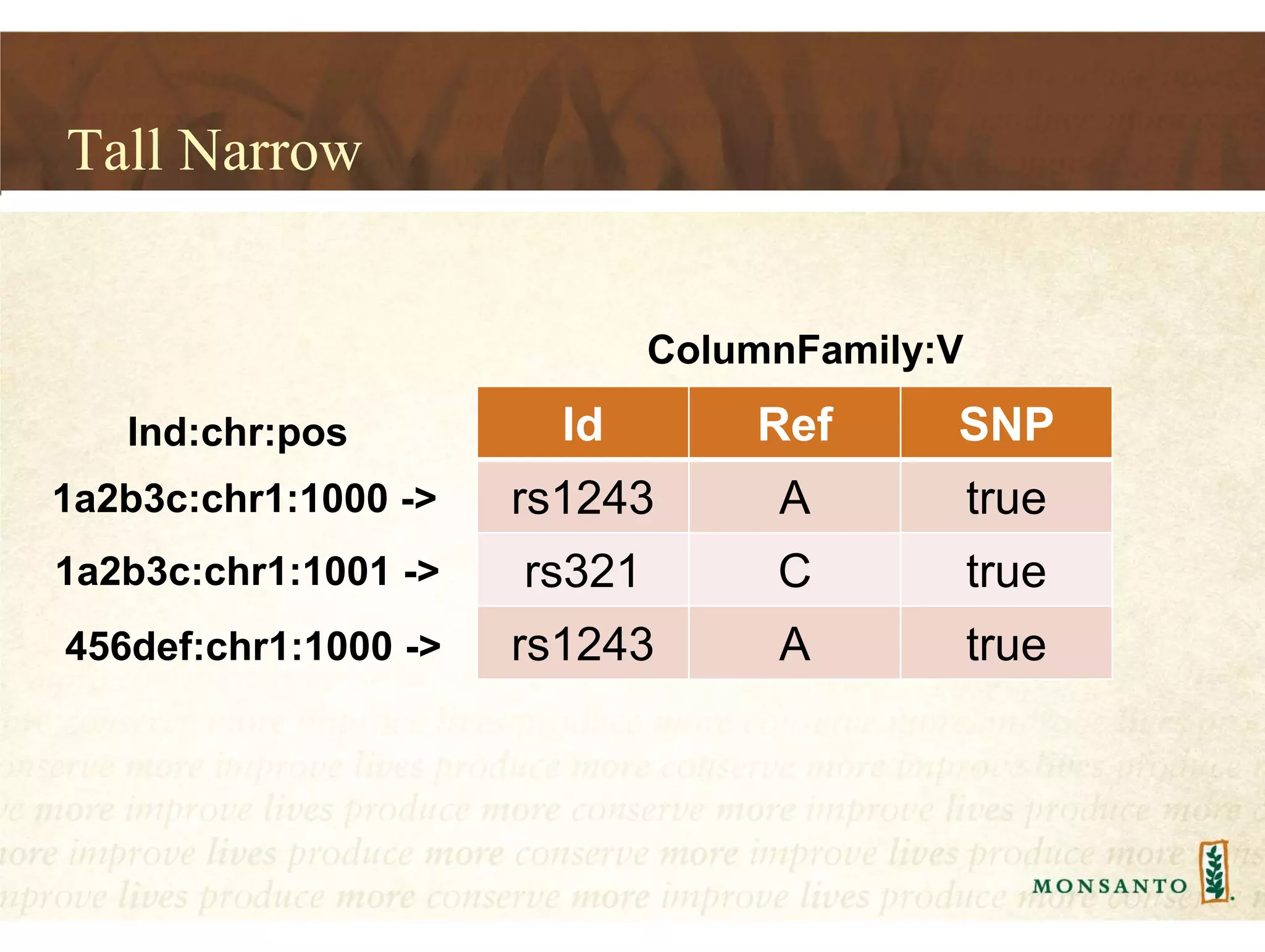 Tall Narrow
Ind:chr:pos Id Ref SNP
rs1243 A true
rs321 C true
rs1243 A true
1a2b3c:chr1:1001 ->
1a2b3c:chr1:1000 ->
ColumnFamily:V
456def:chr1:1000 ->
 