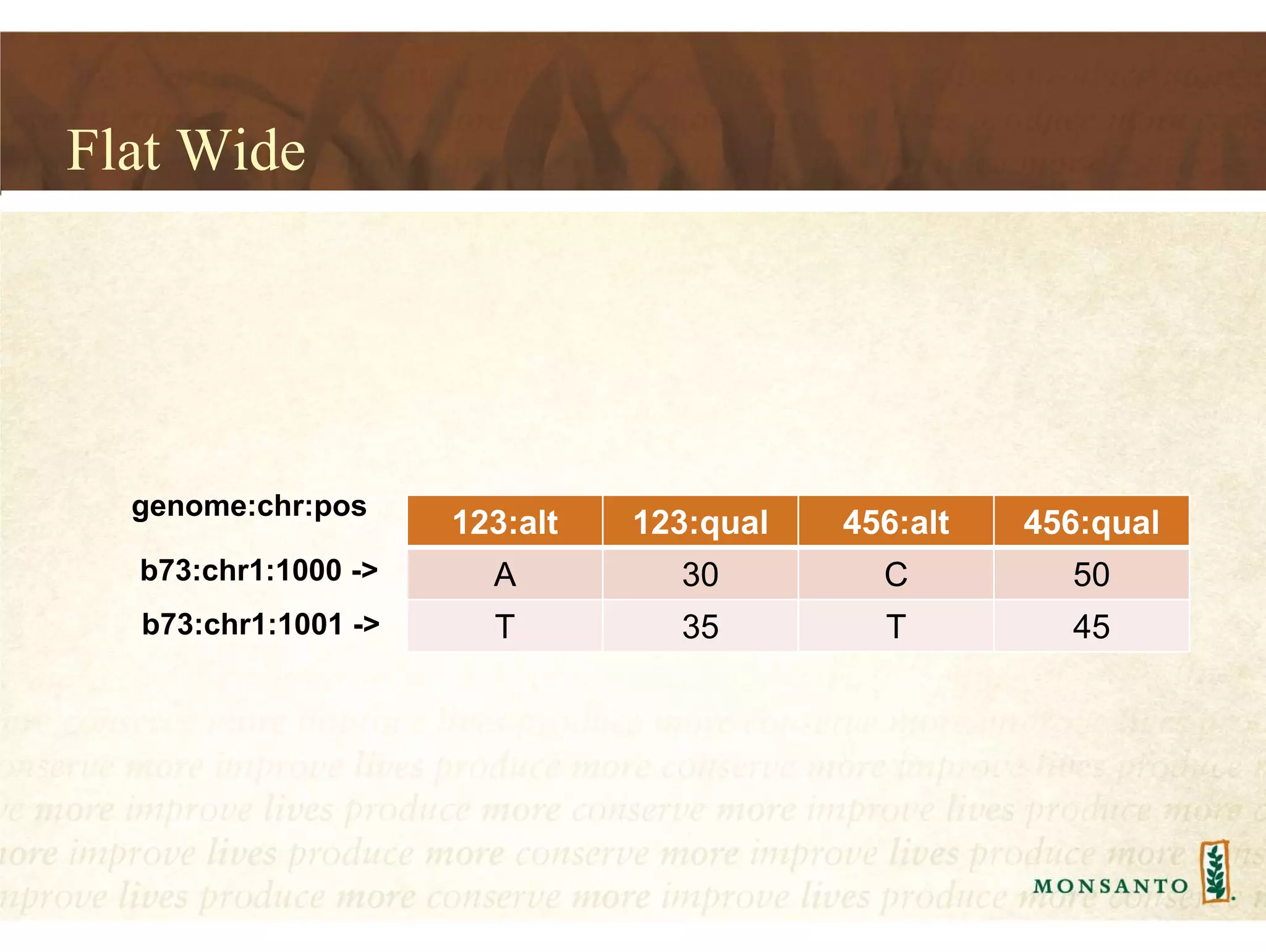 Flat Wide
genome:chr:pos
123:alt 123:qual 456:alt 456:qual
A 30 C 50
T 35 T 45
b73:chr1:1000 ->
b73:chr1:1001 ->
 