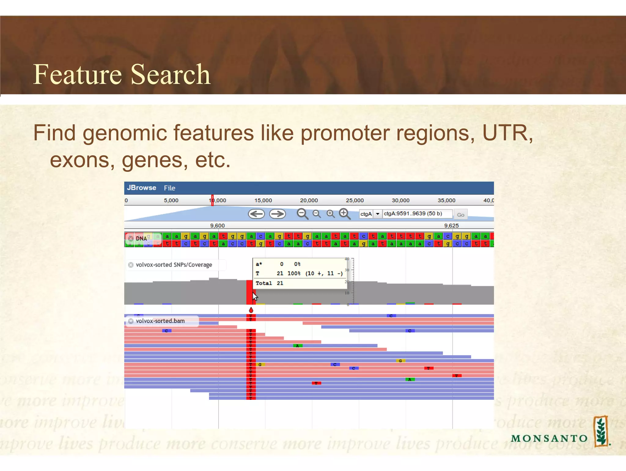 Feature Search
Find genomic features like promoter regions, UTR,
exons, genes, etc.
 