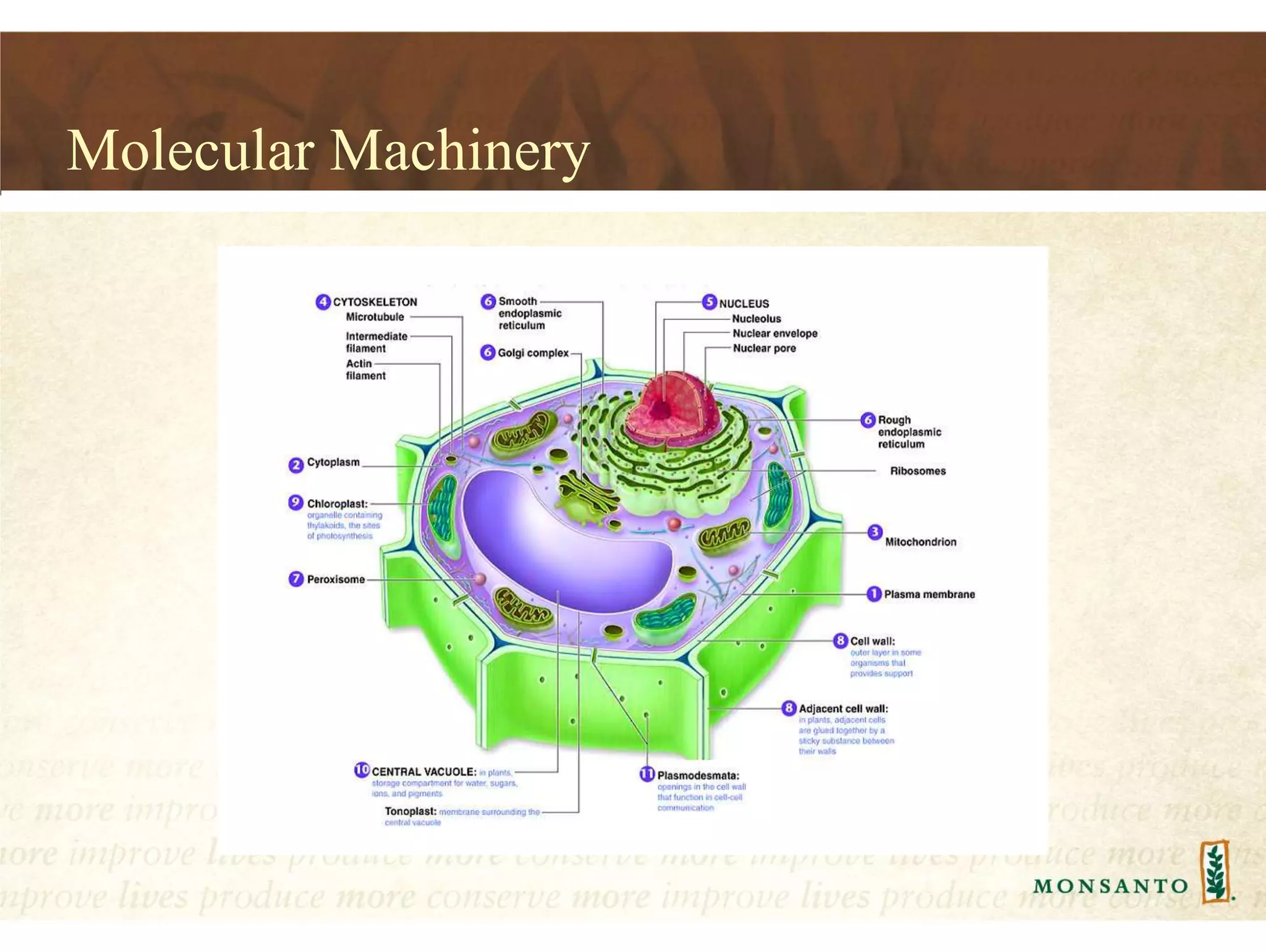 Molecular Machinery
 