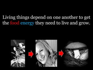 Living things depend on one another to get
the food energy they need to live and grow.
 