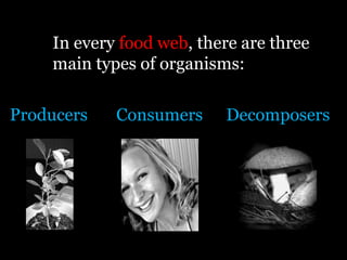 In every food web, there are three
    main types of organisms:

Producers   Consumers     Decomposers
 