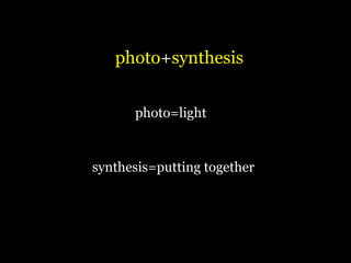 photo+synthesis


      photo=light


synthesis=putting together
 