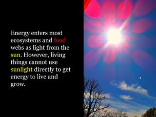 Energy enters most
ecosystems and food
webs as light from the
sun. However, living
things cannot use
sunlight directly to get
energy to live and
grow.
 