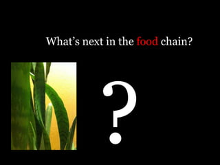 What’s next in the food chain?
 