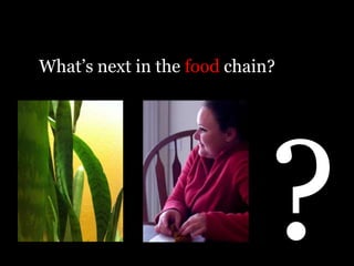 What’s next in the food chain?
 
