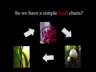 So we have a simple food chain?
 