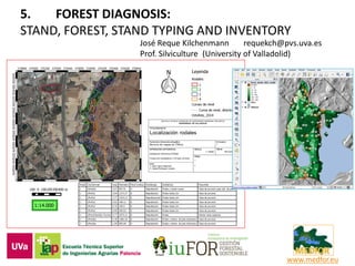 5. FOREST DIAGNOSIS:
STAND, FOREST, STAND TYPING AND INVENTORY
www.medfor.eu
José Reque Kilchenmann requekch@pvs.uva.es
Prof. Silviculture (University of Valladolid)
 
