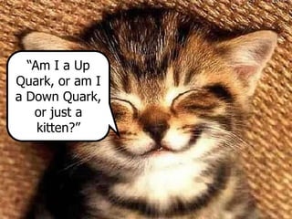 “Am I a Up
Quark, or am I
a Down Quark,
or just a
kitten?”
 