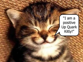 “I am a
positive
Up Quark
Kitty!”
 