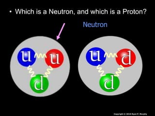 • Which is a Neutron, and which is a Proton?
Neutron
Copyright © 2010 Ryan P. Murphy
 