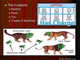  The 6 Leptons
 Electron
 Muon
 Tau
 3 types of Neutrinos
Copyright © 2010 Ryan P. Murphy
 