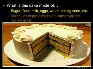• What is this cake made of…
– Sugar, flour, milk, eggs, water, baking soda, etc.
– Molecules of proteins, lipids, carbohydrates,
nucleic acids.
– Atoms of Sulfur, Phosphorus, Oxygen, Nitrogen,
Carbon, Hydrogen, etc.
– Protons, Neutrons, Electons
– Quarks and Leptons and Force Carrier Particles.
– ?
Copyright © 2010 Ryan P. Murphy
 
