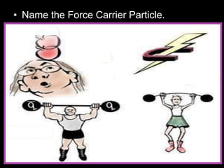 • Name the Force Carrier Particle.
 