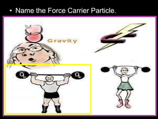 • Name the Force Carrier Particle.
 