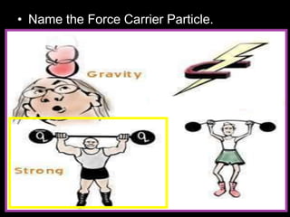 • Name the Force Carrier Particle.
 