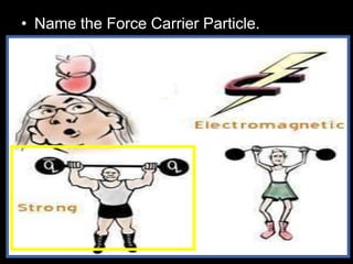 • Name the Force Carrier Particle.
 