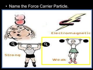 • Name the Force Carrier Particle.
 