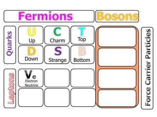 Up
Down
Charm
Strange
Top
Bottom
Electron
Neutrino
 