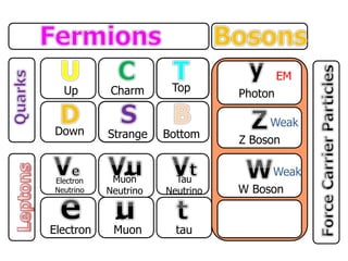 Up
Down
Charm
Strange
Top
Bottom
Electron
Neutrino
Electron
Muon
Neutrino
Muon
Tau
Neutrino
tau
Photon
Z Boson
W Boson
EM
Weak
Weak
 