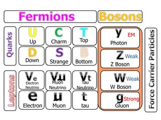 Up
Down
Charm
Strange
Top
Bottom
Electron
Neutrino
Electron
Muon
Neutrino
Muon
Tau
Neutrino
tau
Photon
Z Boson
W Boson
Gluon
EM
Weak
Weak
Strong
 