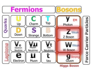 Up
Down
Charm
Strange
Top
Bottom
Electron
Neutrino
Electron
Muon
Neutrino
Muon
Tau
Neutrino
tau
Photon
Z Boson
W Boson
Gluon
EM
Weak
Weak
Strong
 