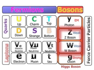Up
Down
Charm
Strange
Top
Bottom
Electron
Neutrino
Electron
Muon
Neutrino
Muon
Tau
Neutrino
tau
Photon
Z Boson
W Boson
Gluon
EM
Weak
Weak
Strong
 